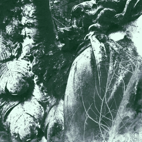 Shores Of Null : Night Will Come (Live Unplugged)